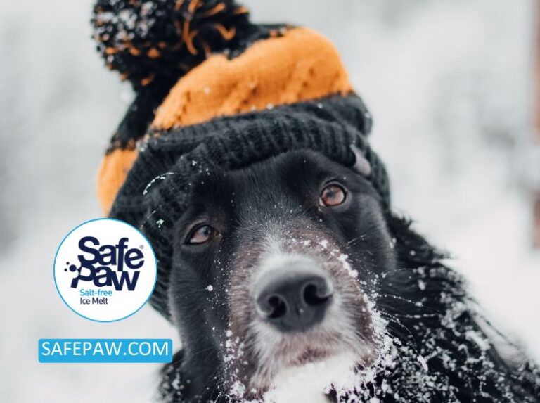 The Best Ice Melt Is Also Safe For Pets And Kids
