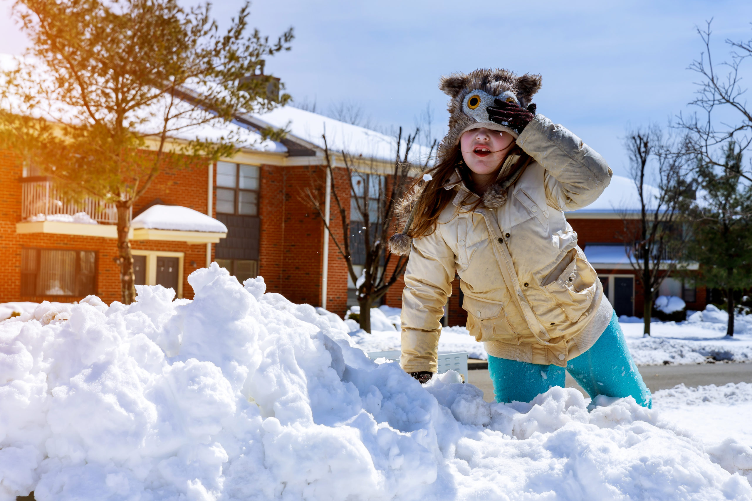 Hazards Of Using Salt Based Ice Melt Products Around The Home