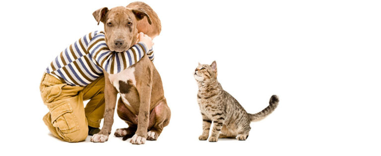 child_and_pets