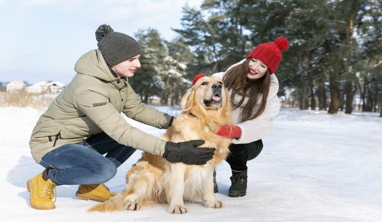 Environmentally and Pet Friendly Ice Melt