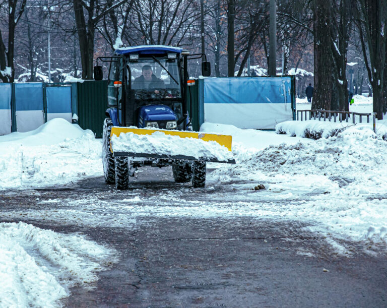 How-to-Protect-Your-Landscape-from-Harsh-Winter