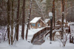 Wooden-Deck-Damage-From-Salt-Based-Ice-Melt.
