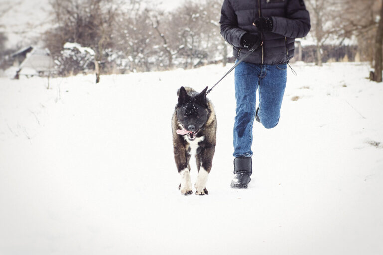 Safe ice melt for pet