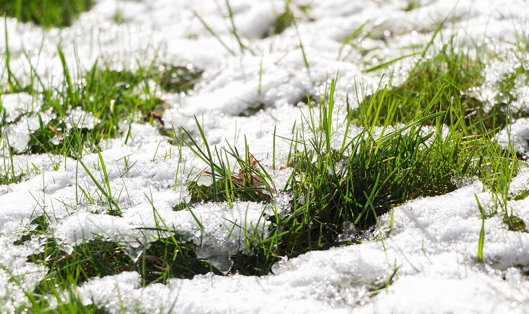 Eco-Friendly Ice Melting Alternatives to Rock Salt - Suburban Lawn  Sprinkler Co.