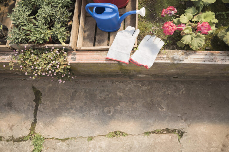 How To Reuse The Ice-Melt Residue For Gardening