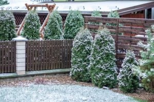 plant safe deicer