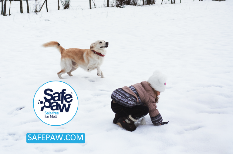 The Most Common Questions About Safe Paw