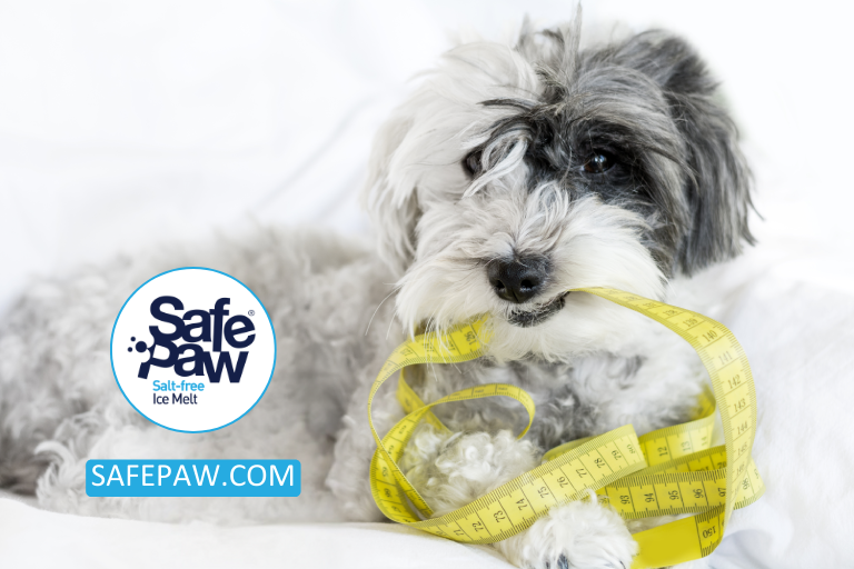 Understanding The Importance Of Pet Safe Products