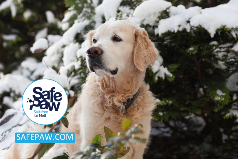 Is Magnesium Chloride Ice Melt Safe For Pets