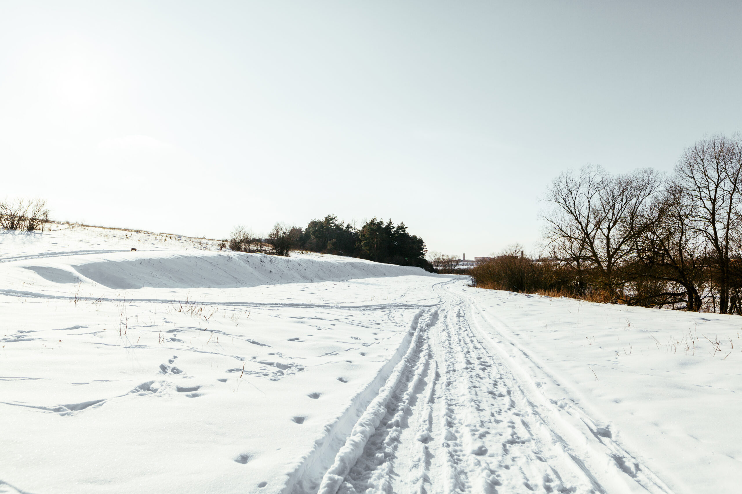 Snow In Michigan Effective Tips For Safely Melting Ice During Winter Storms