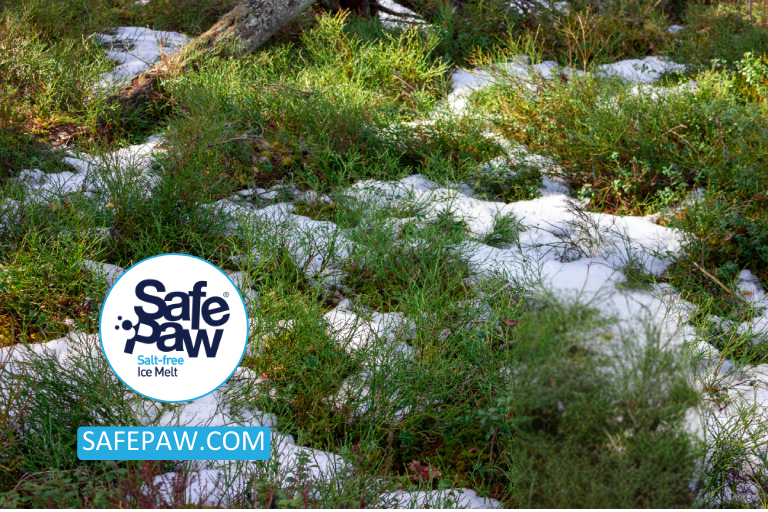 Protect Your Lawn and Plants_ How to Choose a Safe Ice Melt Product