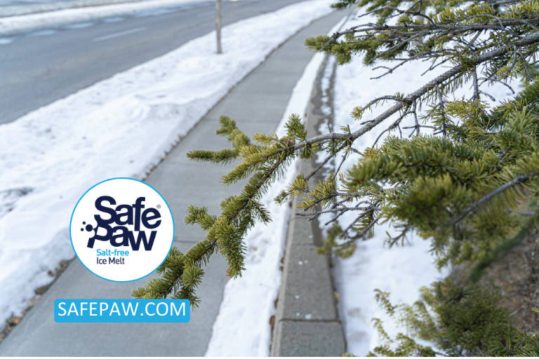 Spring Fire Safety_ Essential Maintenance Tips for Driveways After Winter