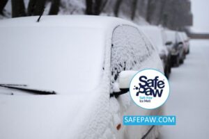 Expert Tips On How To Defrost Your Windshield Quickly And Safely