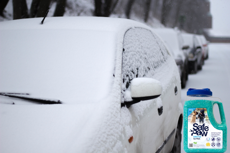 Everyday items that defrost your windscreen perfectly - from