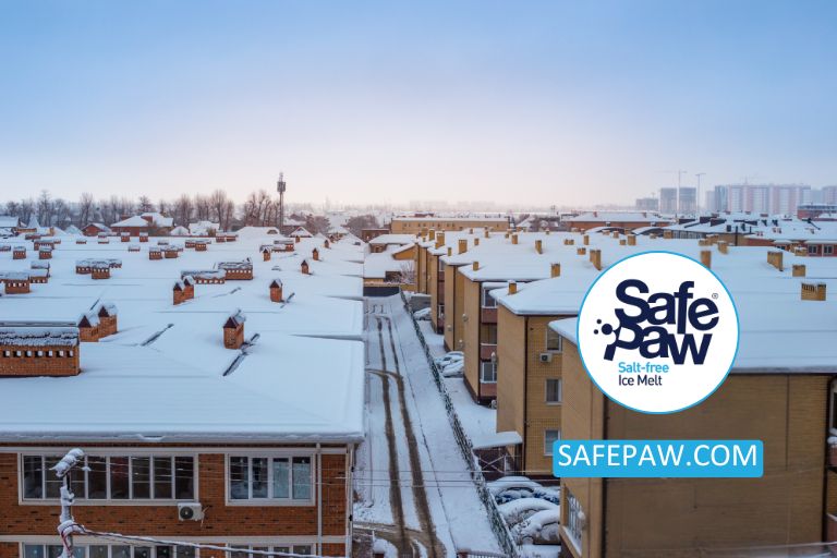 Safeguarding Your Flat Roof