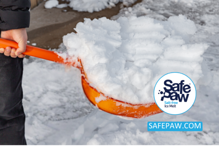 Unveiling Safe Paw: A Pet Safe Ice Melt Solution For Winter Woes