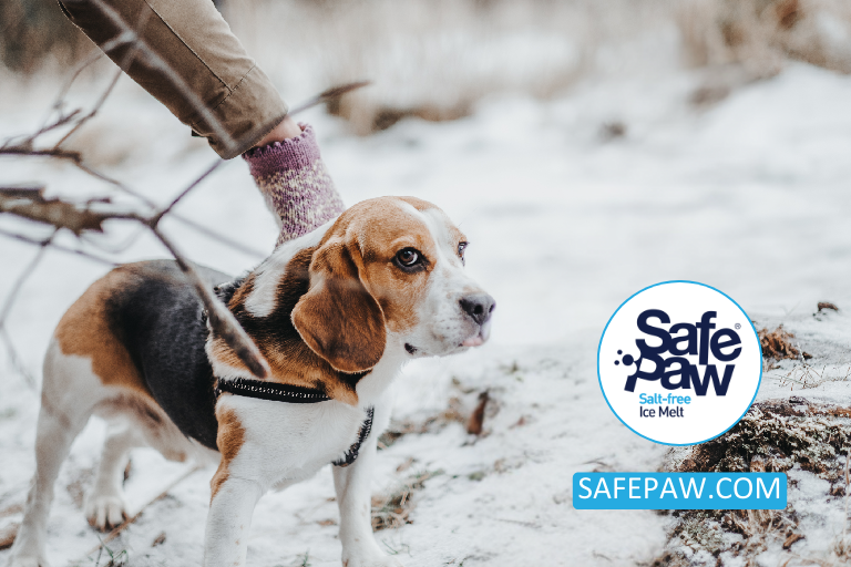 Comparing Safe Paw With Road Runner Pet-Friendly Ice Melt