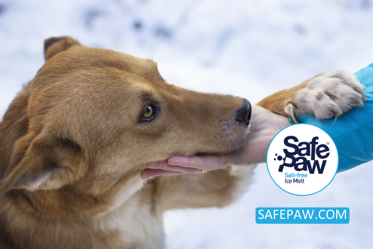 The Dangers Of Alcohol In Ice Melts_ Keeping Your Pets Safe With Safe Paw