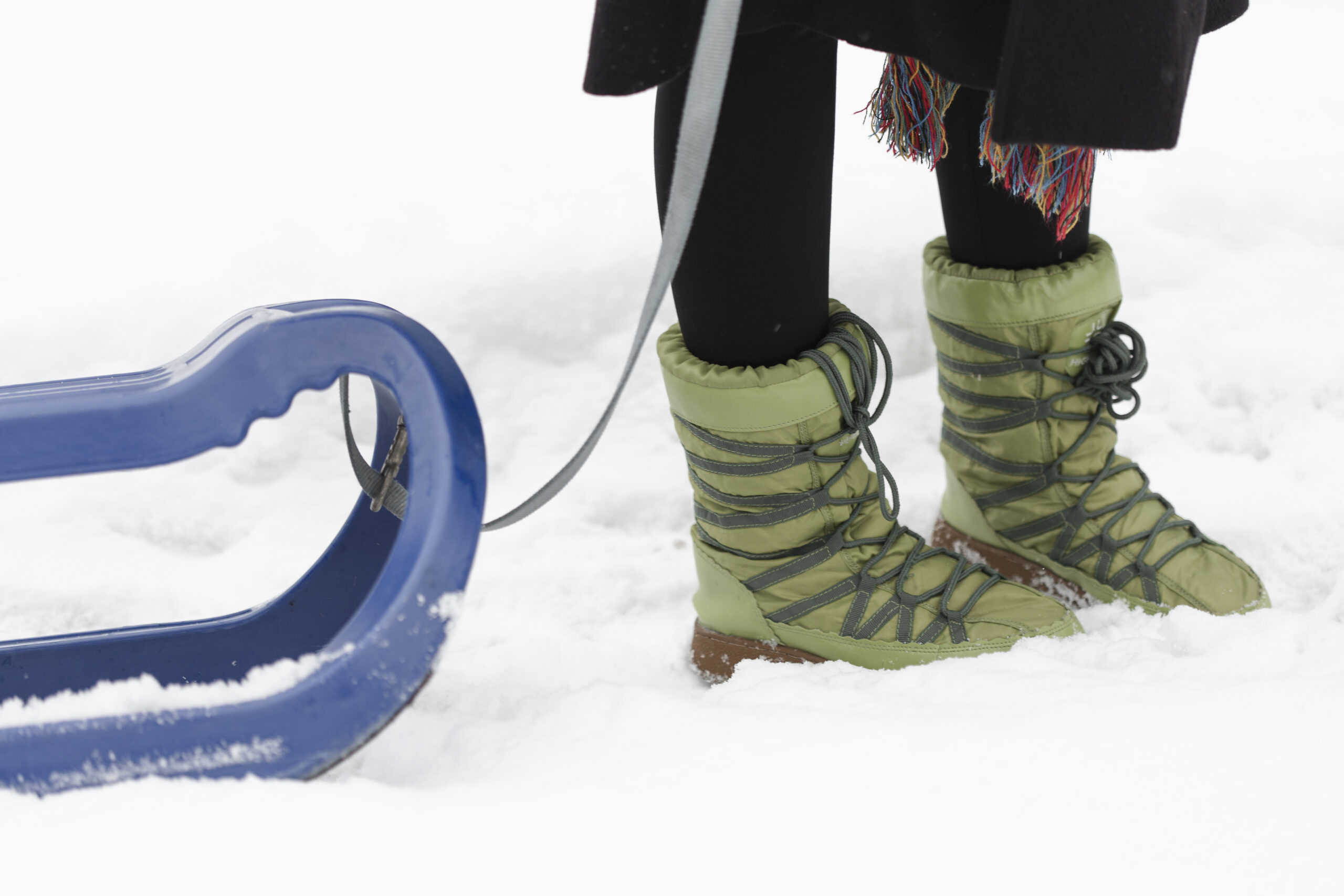 5 Reasons To Choose Safe Paw Over Bulk Salt Distributors
