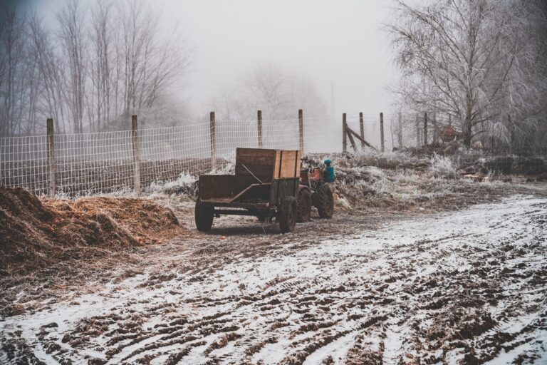 Snow Blowers On Gravel Driveways