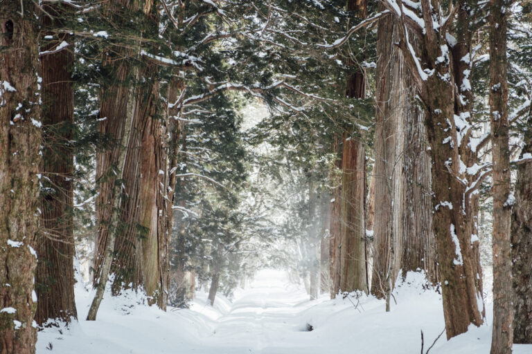 A Guide to Finding Quality Bulk Salt for Snow Removal (1)