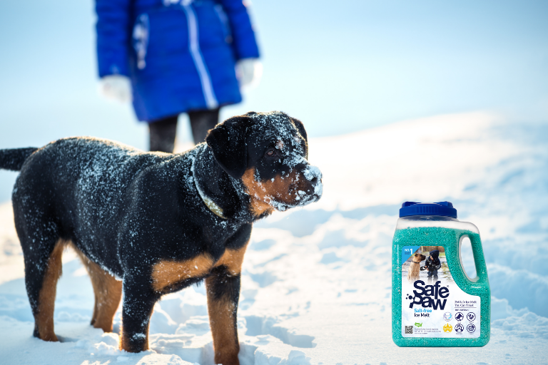 Tips & Advice - Preparing Your Pets for Winter: Cold-Weather Essentials, Calgary, AB