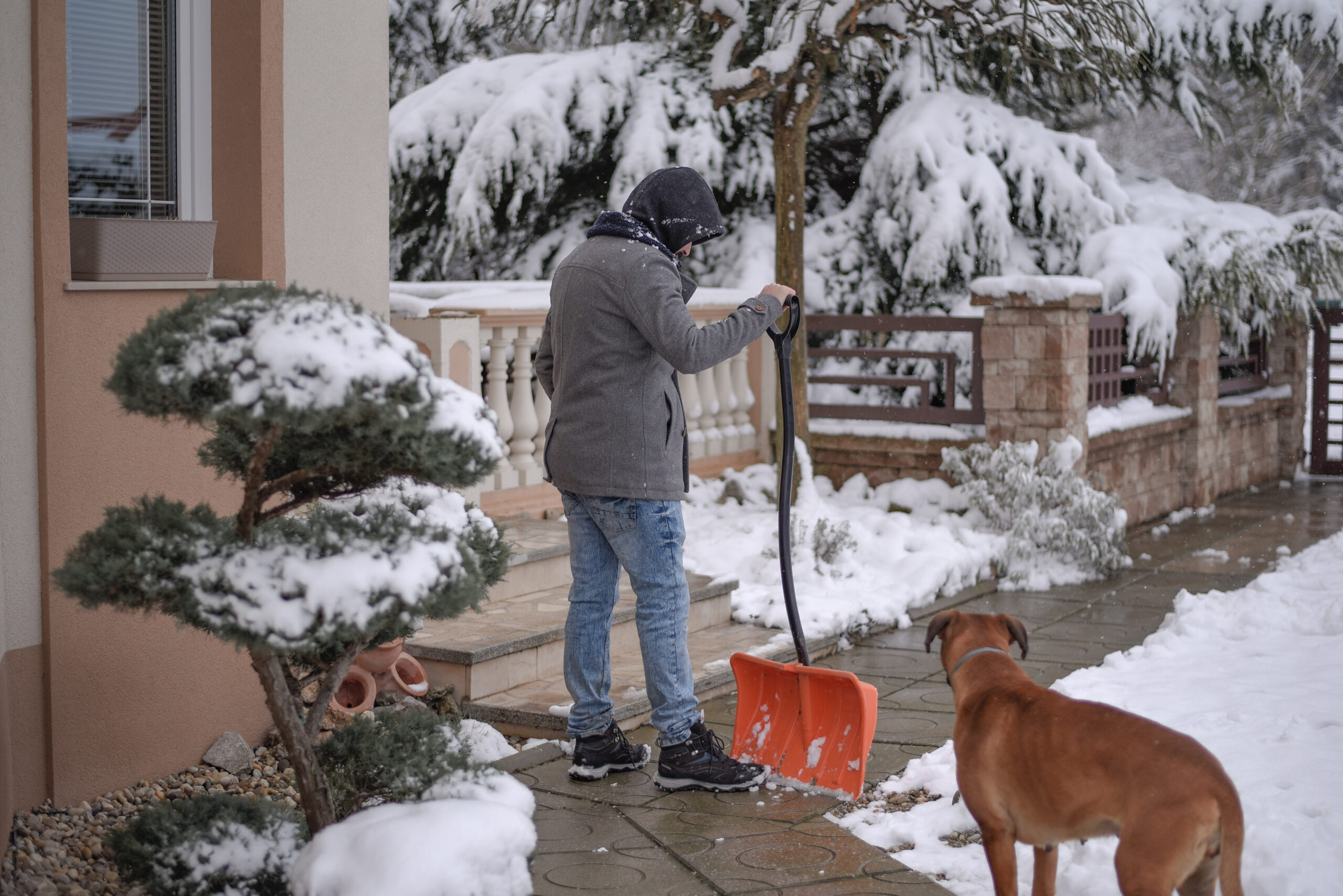 Ice Melt Is Safe For Plants