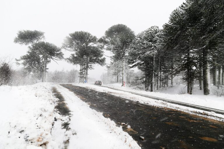 Snow Blowers and Gravel Driveways Pros and Cons
