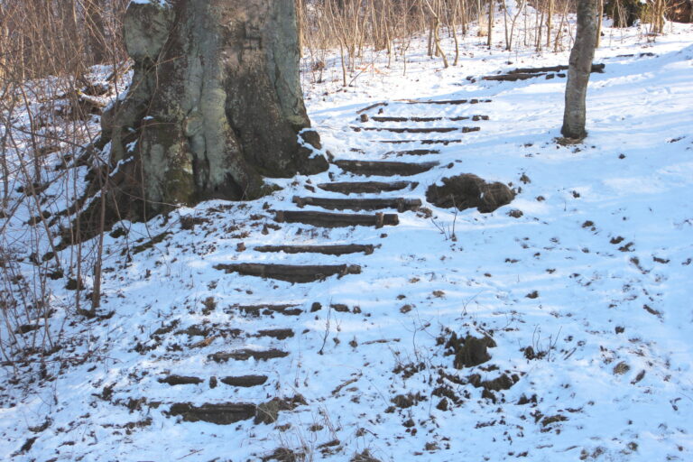5-Benefits-Of-Using-Trex-Steps-For-Your-Home