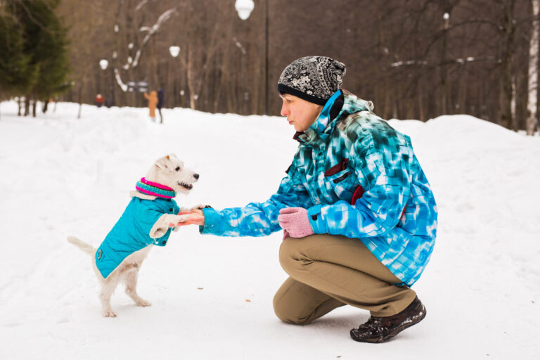 5 Critical Dangers Of Salt Intake For Dogs