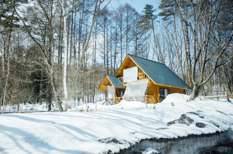 5-Steps-To-Finding-The-Best-Snow-Shovel-For-Your-Needs