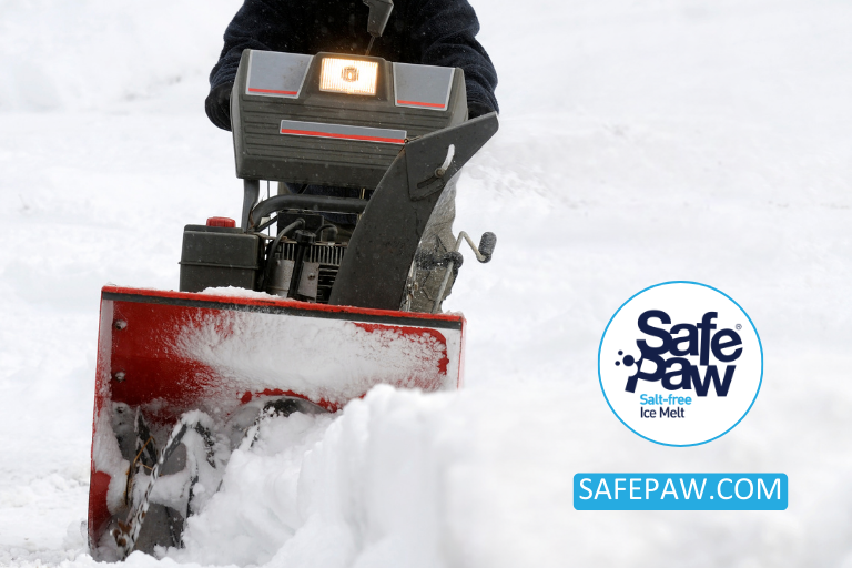 Making Your Own Sidewalk De-Icer Vs. Using Safe Paw A Comparative Study