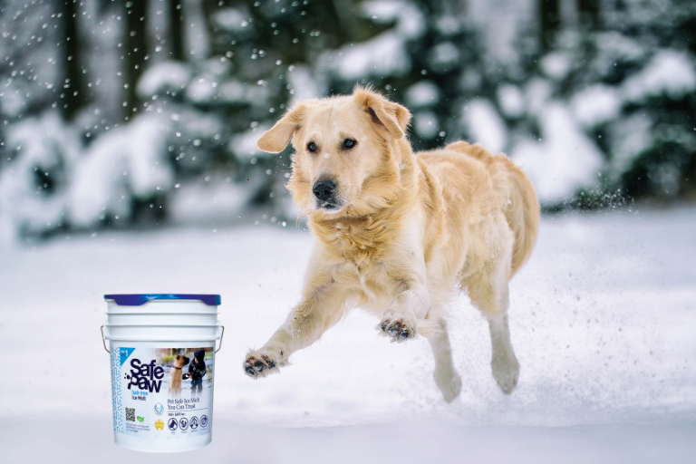 Mid Atlantic Resident! Keeping Your Pets Safe From Snow In 3 Easy Steps