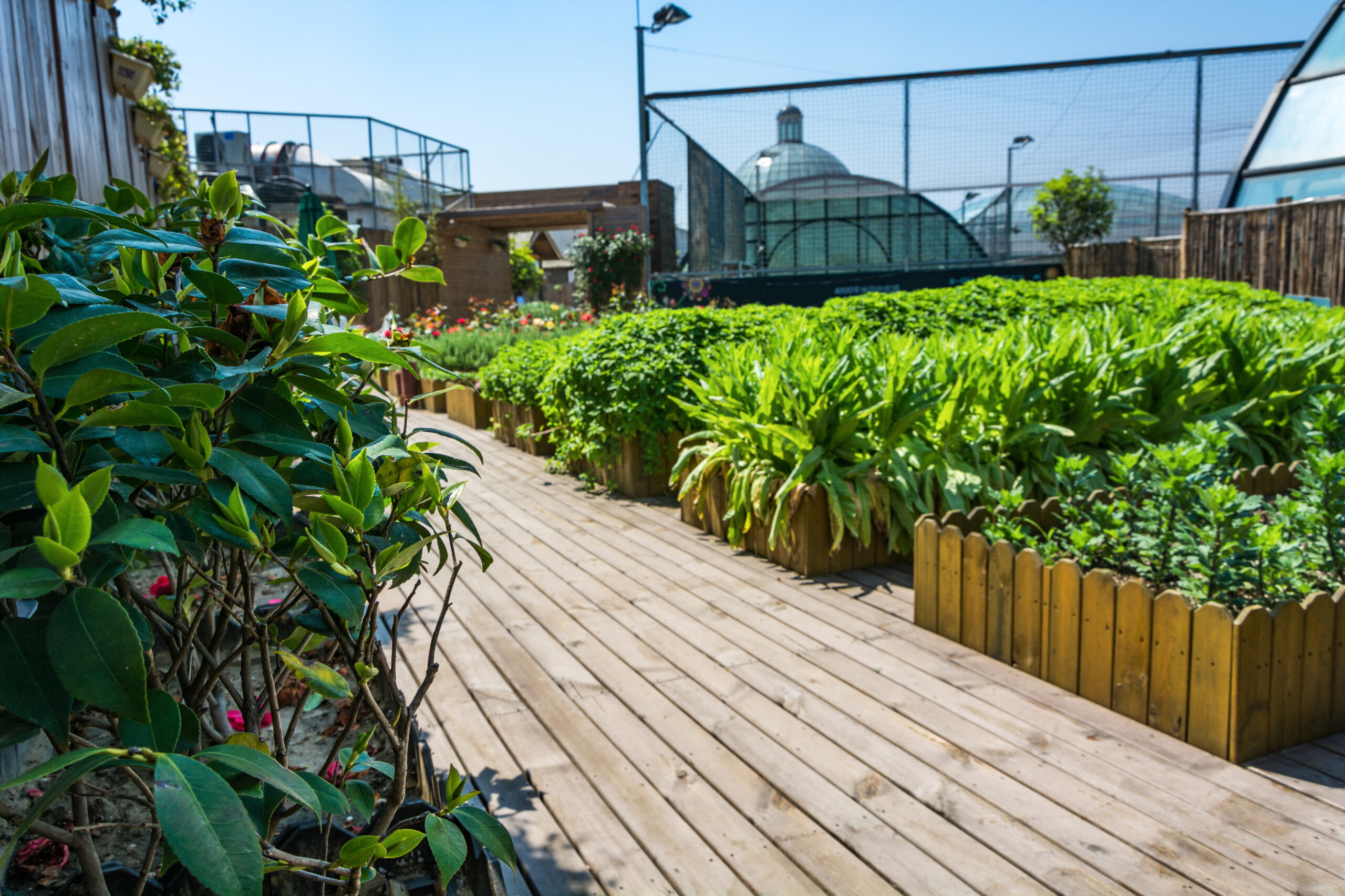 Coping With Winter In Your Vegetable Garden In New England