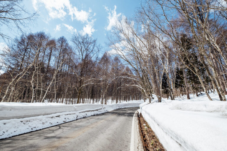 Estimating-The-Cost-Of-Driveway-Repair