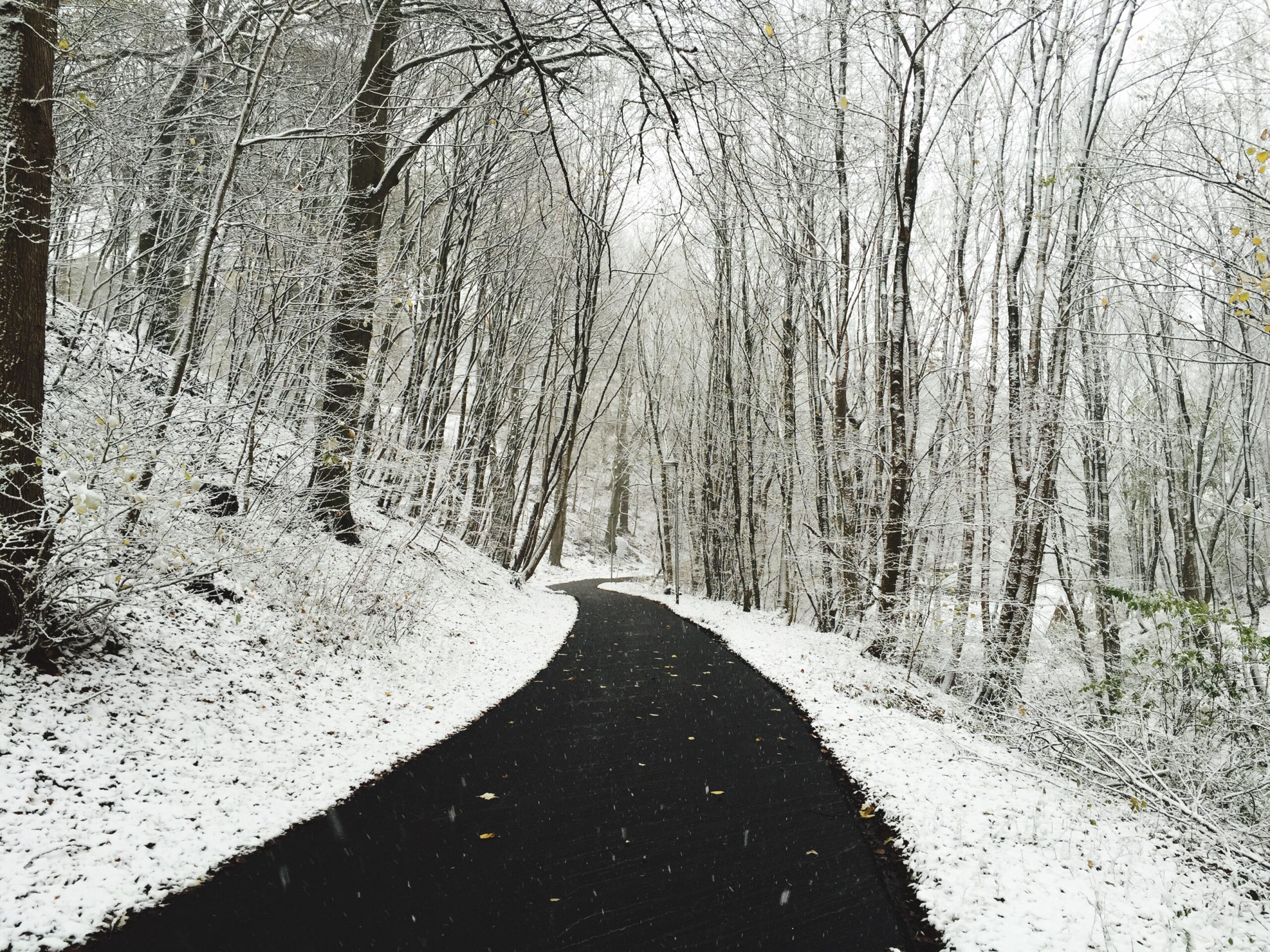 Keeping Driveways Snow-free