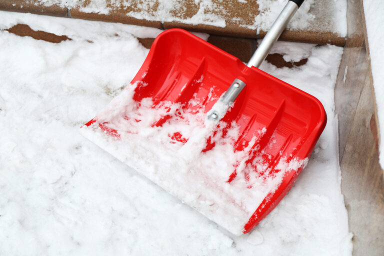 Rocksalt Vs. Sea Salt Which Reigns Supreme