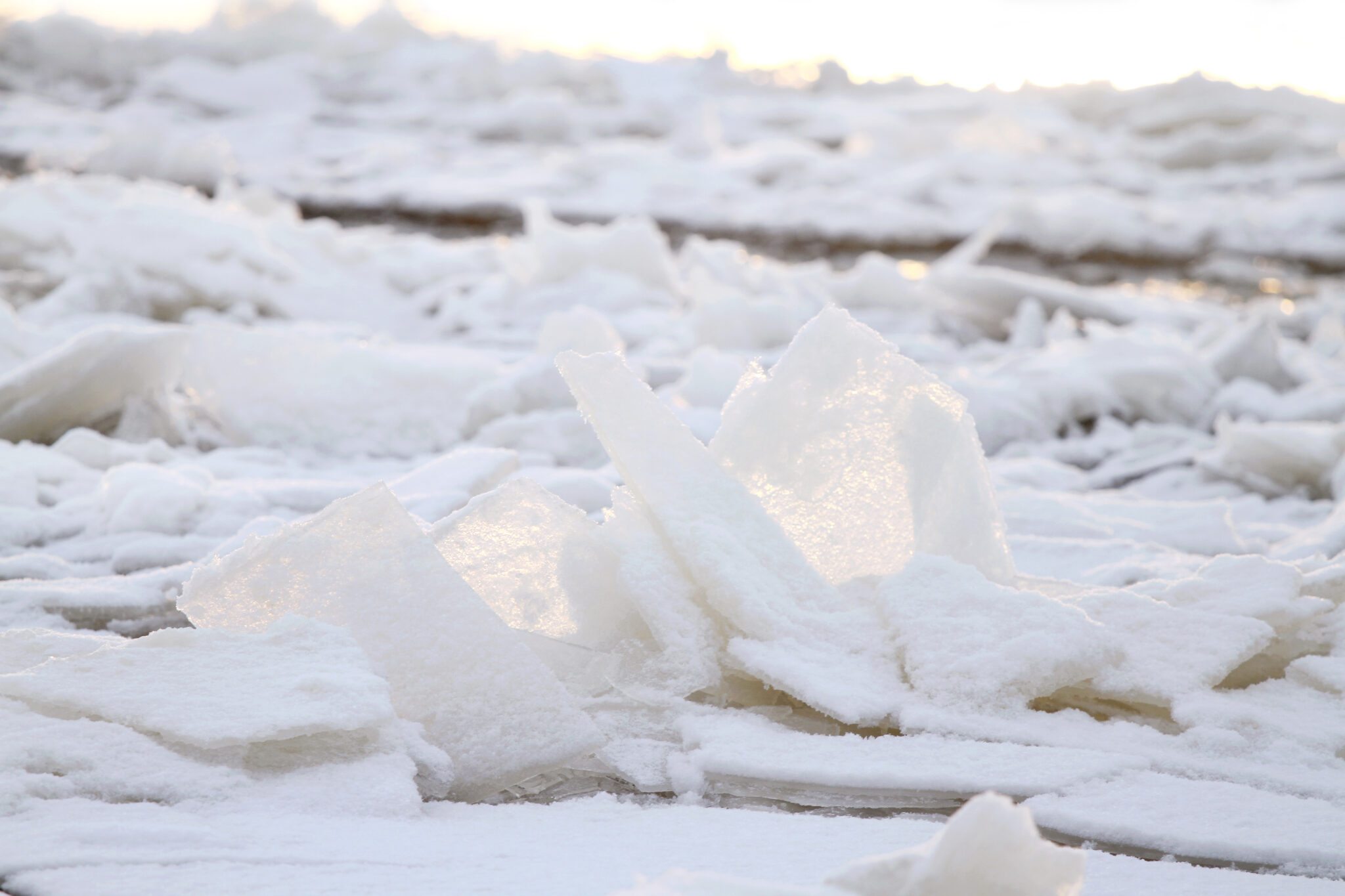 El Niño: Understanding Its Impact On Winter Weather Patterns In The Us