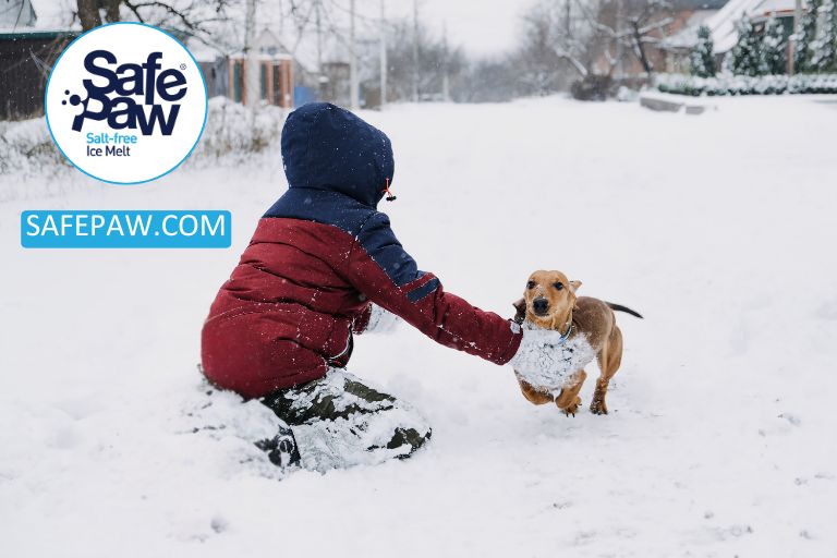 Family And Kids Safety During Concord's Snow Storms