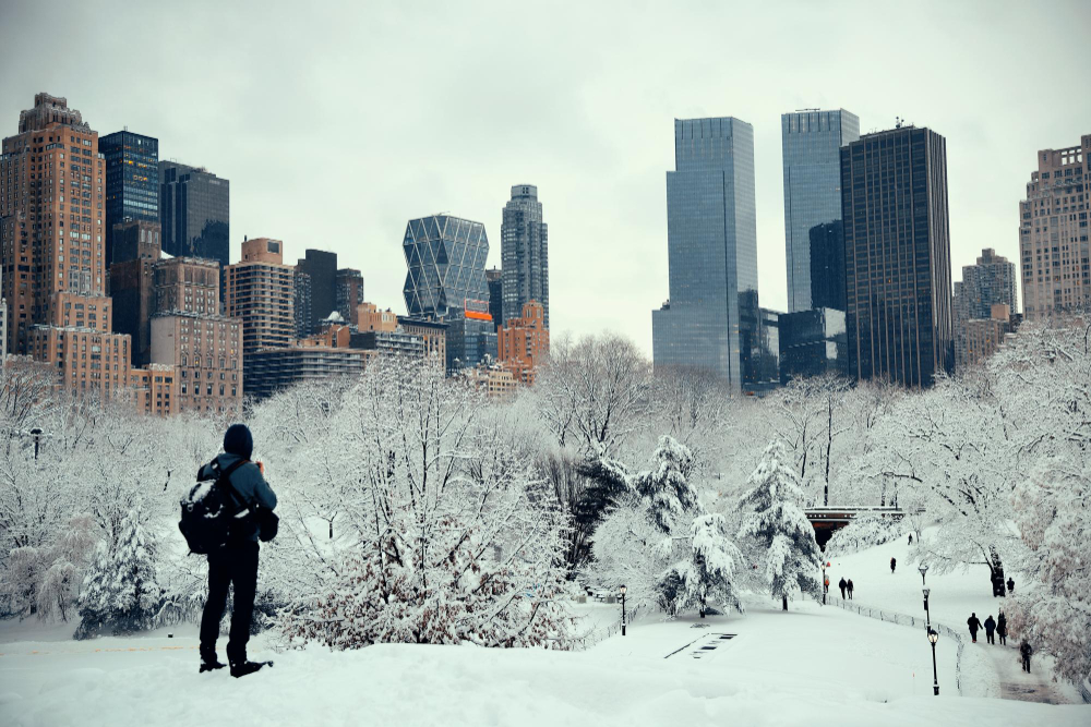 Navigating Ice Storms In Boston Protecting Your Pets And Property