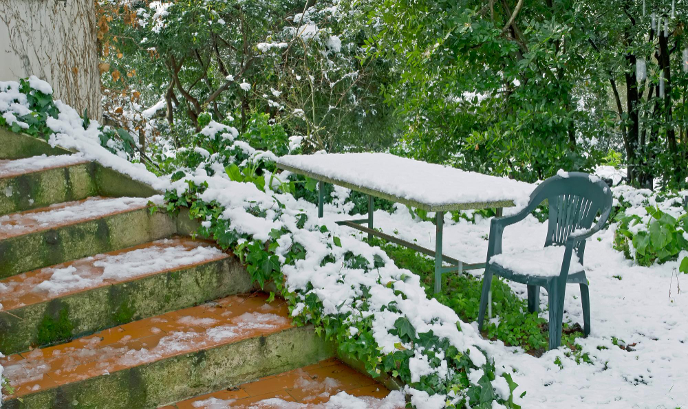 Predicting Snowfall When And How It's Going To Snow In Your Region