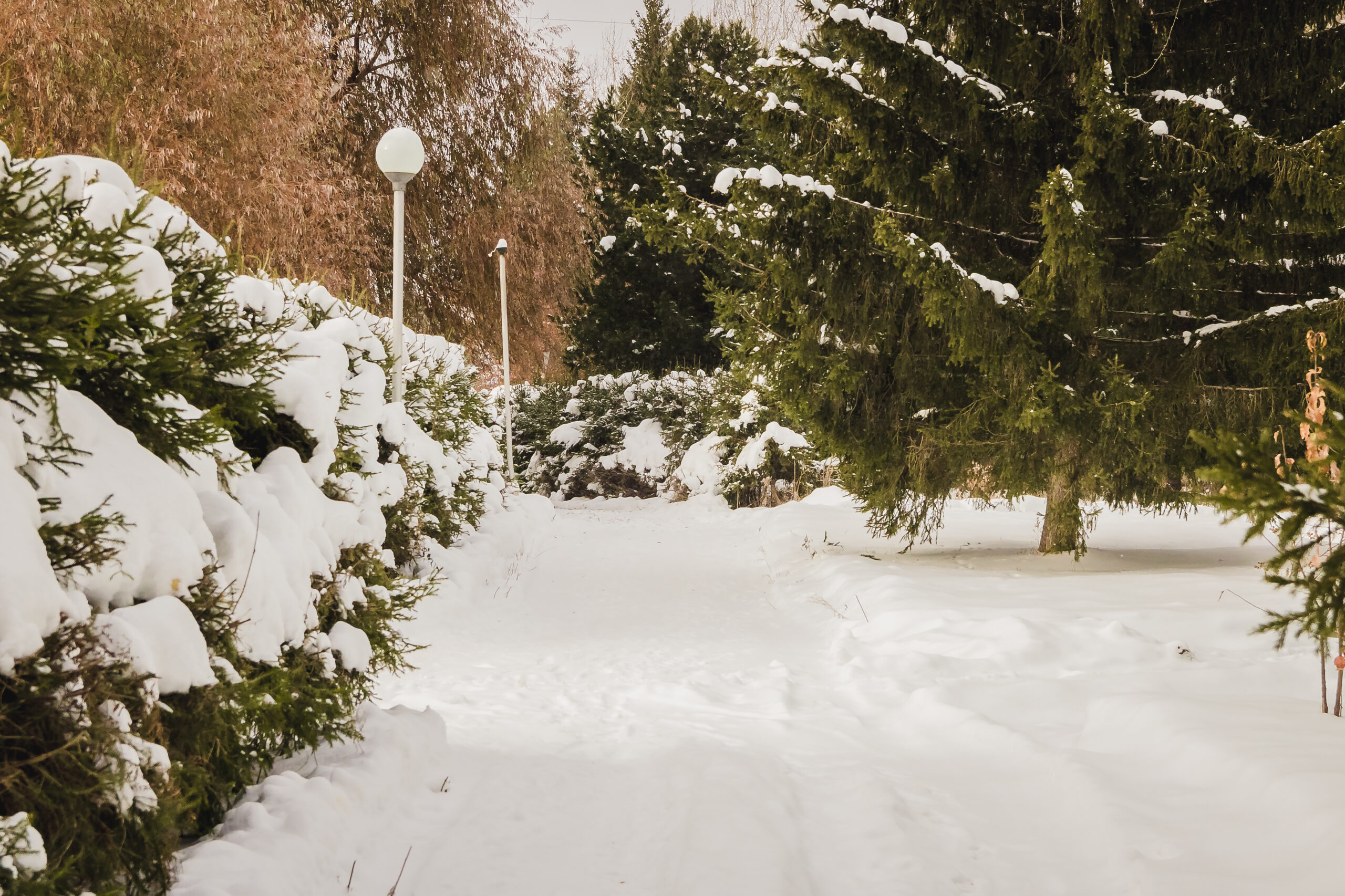 Markers for driveways