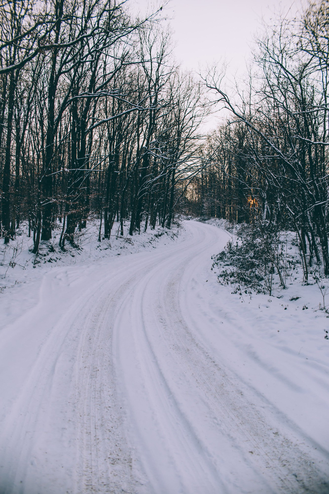 Choosing The Right Salt Spreader For Snow A Buyer's Guide