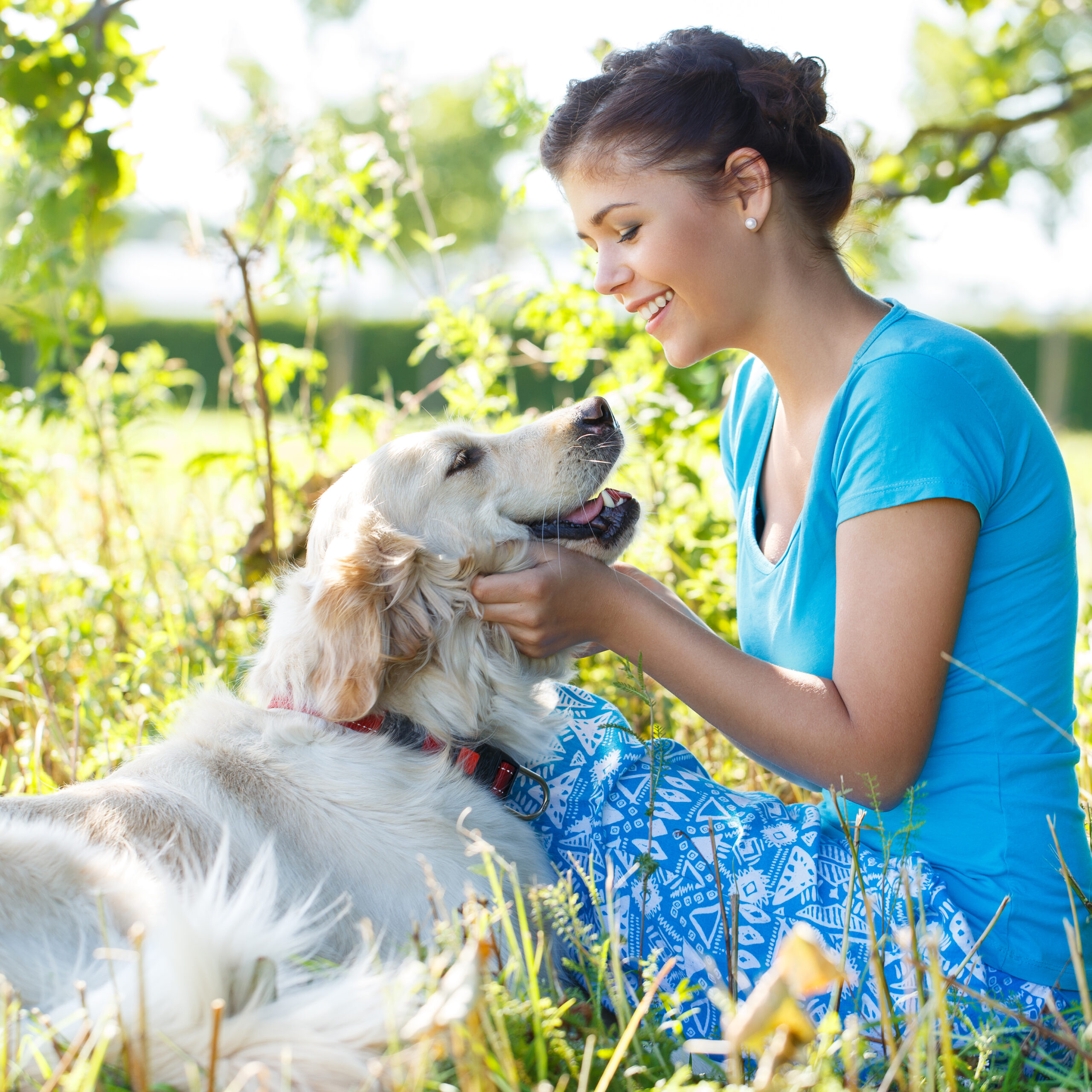 Pet-Friendly Weed Killers: Top Choices for a Safe Lawn
