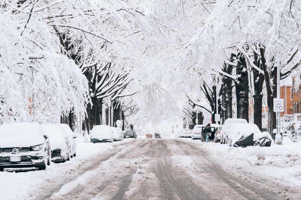 driveway snow stakes