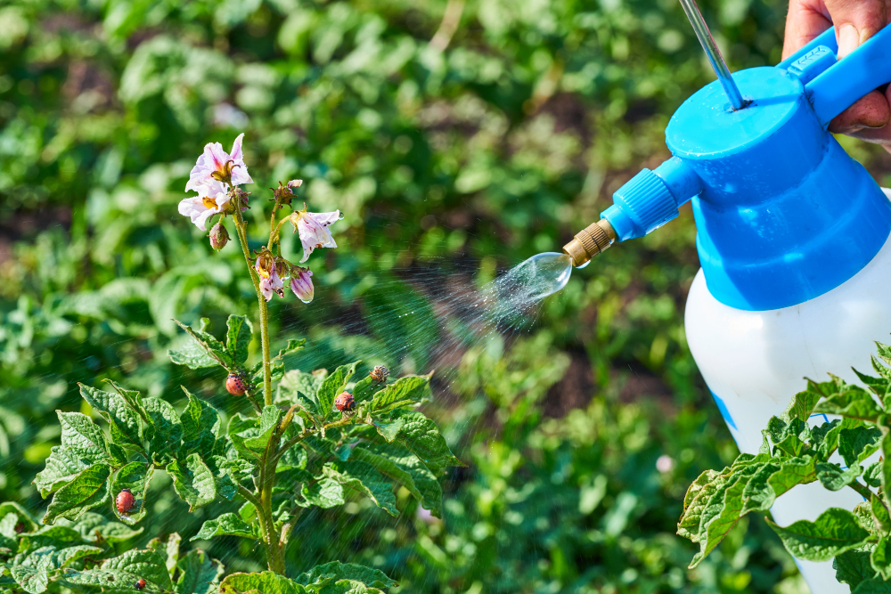 7 Effective Herbicides To Eradicate Stubborn Weeds