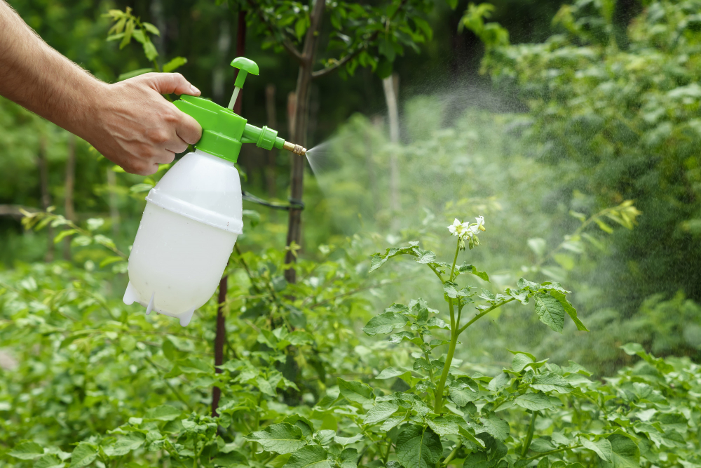 A-Comprehensive-Guide-to-the-Worlds-Best-Herbicides