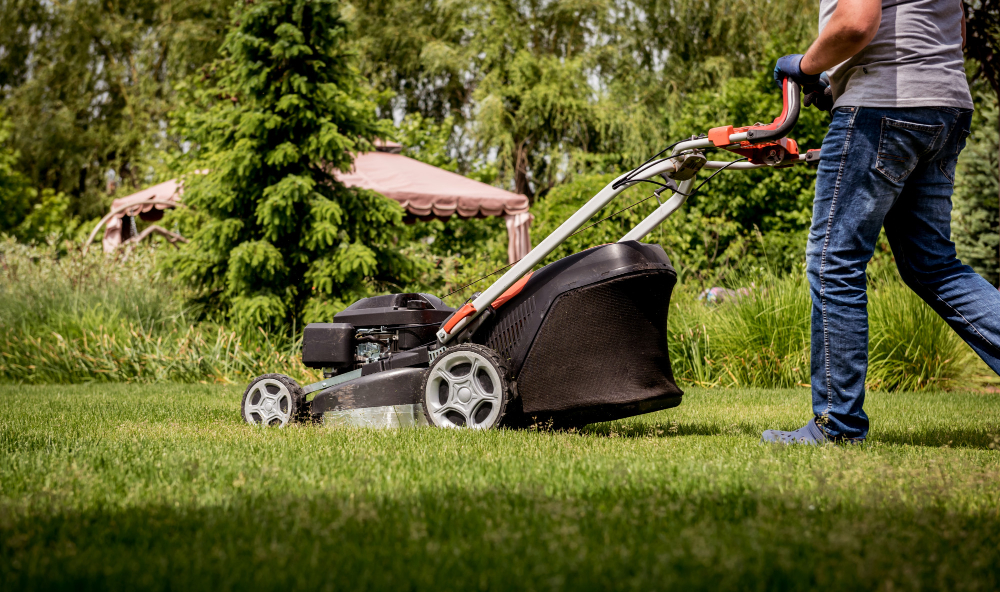 Benefits Of Lawn Aerators Why Every Garden Needs One