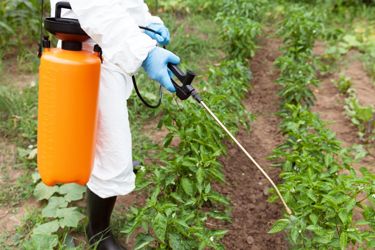 Using Vinegar As A Weed Killer.
