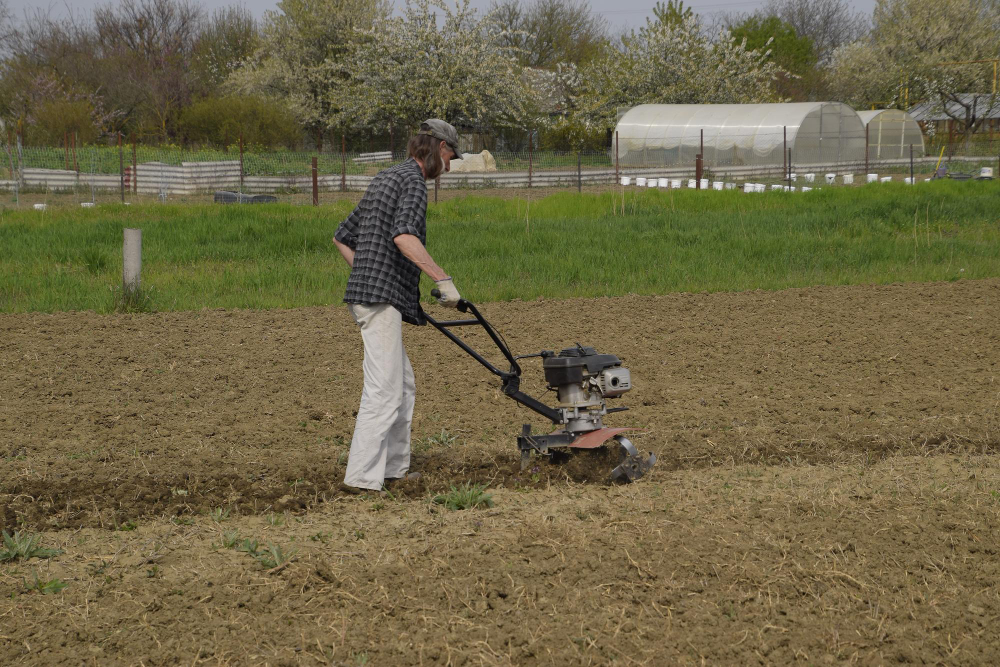 Reasons Aerators Are Essential For Healthy Grass